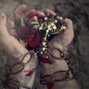 a-court-of-lust-and-stardust avatar