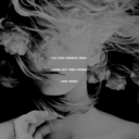 a-court-of-pain-and-night avatar