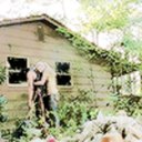 a-damnromancenovel avatar