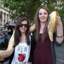 a-dancers-pointe-of-view avatar