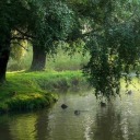 a-dykes-idealistmusings avatar