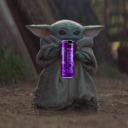 a-ficus-named-fern avatar