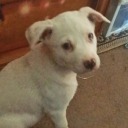 a-fine-piece-of-ashe avatar