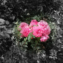 a-fixed-heartx avatar