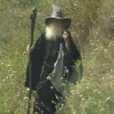 a-fool-in-the-sheets avatar