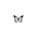 a-free-butterfly avatar