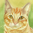 a-friendly-stray avatar