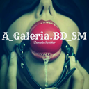 a-galeria-bd-sm-blog avatar