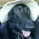 a-gay-cryptid avatar