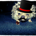 a-gentlemens-hedgehog-blog avatar