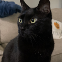 a-guy-named-ben avatar