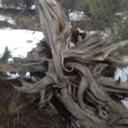 a-hand-full-of-dust avatar