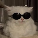 a-hell-of-a-bird avatar