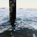 a-home-for-stray-stories avatar