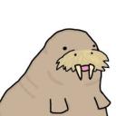 a-humble-walrus avatar