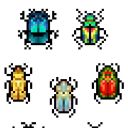 a-jar-of-beetles avatar