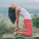 a-la-luna-y-de-regreso avatar