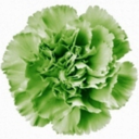 a-life-long-romance avatar