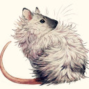 a-lil-rat avatar