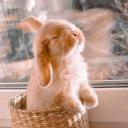 a-little-every-day avatar