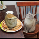 a-little-less-motivated avatar