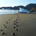 a-little-of-that-went-a-long-way avatar