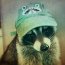 a-lost-raccoon avatar