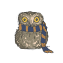 a-lovely-little-owl avatar