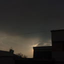 a-madman-full-of-scars avatar