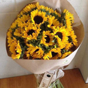 a-menina-queperseguia-a-lua avatar