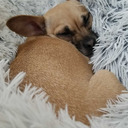 a-mountain-of-atoms avatar