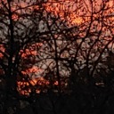 a-new-beginning-a-tcoti-blog avatar