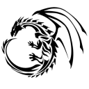 a-noble-dragon avatar