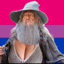 a-not-knowing-bisexual-wizard avatar