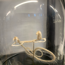 a-p3rf3ct-1m1tat10n avatar