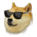 a-pack-of-doges avatar