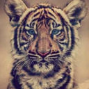 a-perfect-lifee avatar