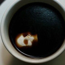 a-phoenix-quill avatar