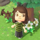 a-pixie-crossing avatar