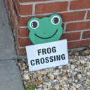 a-purely-objective-frog avatar