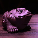 a-purple-toad avatar