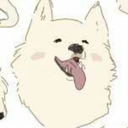 a-restful-samoyed avatar