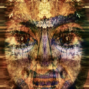 a-road-dogs-view-of-things-blog avatar