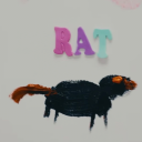 a-room-with-rats avatar