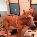 a-sea-of-insecurities avatar