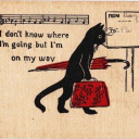 a-singer-of-the-sea avatar