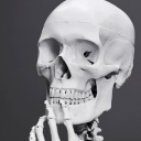 a-skeletal-mess avatar