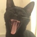 a-sleepyblackcatyawning avatar