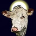 a-steer-not-a-cow avatar