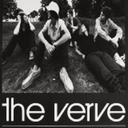 a-storm-in-heaven avatar